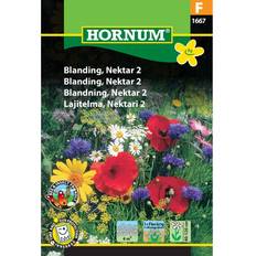 Krukker, Planter & Dyrkning Hornum Blanding Nektar 2