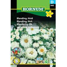 Hornum Blanding Hvid