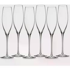 Waterford Elegance Classic Champagne Glass 6pcs