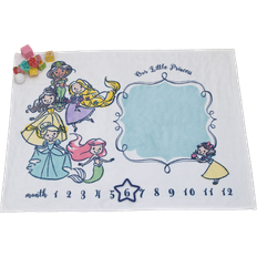 Disney Princess Milestone Baby Blanket