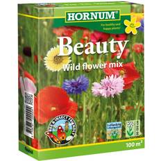 Flower beauty Hornum Beauty Wild Flower Mix