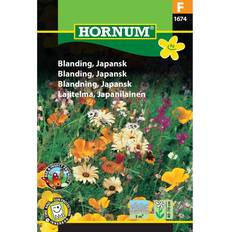 Krukker, Planter & Dyrkning Hornum Blanding Sommerfugl