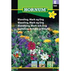 Hornum Fröer Hornum Blanding Mark og Eng