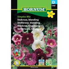 Krukor, Plantor & Odling Hornum Stokrose Blanding Simplex Mix