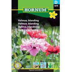 Hornum Valmue Blanding Blomsterfrø