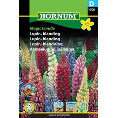Hornum Lupin Blanding Magic Candle