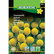Hornum Blomsterfrø Hornum Trommestik