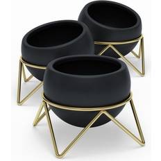 Potsy Pot 3-pack
