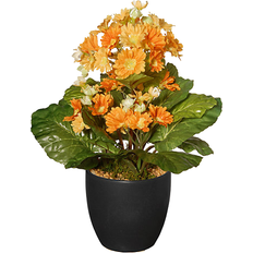 National Tree Company Primula Plant 12"