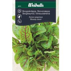 Weibulls Skogsskräppa Blomsterfrø