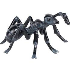 Ant
