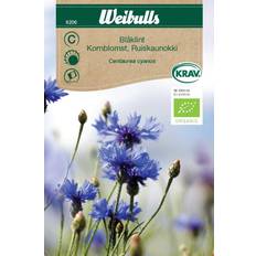Weibulls Blåklint Blomsterfrø
