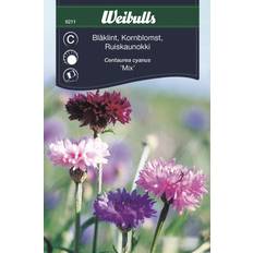 Weibulls Blåklint Mix Blomsterfrø