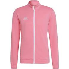 Herren - Rosa Jacken Adidas Entrada 22 Track Top Men - Semi Pink Glow