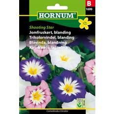Krukker, Planter & Dyrkning Hornum Jomfruskørt Blanding Shooting Star Blomsterfrø