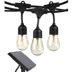 Ambience Pro String Light 15 Lamps