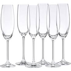 Dishwasher Safe Champagne Glasses Lenox Tuscany Champagne Glass 23.65cl 6pcs