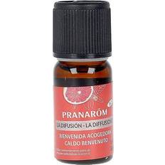 Pranarom Serum & Ansiktsoljor Pranarom Eterisk olja Bienvenida Acogedora 10ml