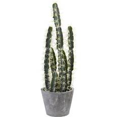 Plastic Garden Ornaments Nearly Natural Artificial Cactus Garden Planter