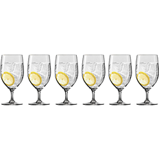 Schott Zwiesel Drinking Glasses Schott Zwiesel Forte Drinking Glass 44.9cl 6pcs