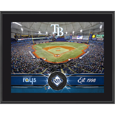 Fanatics Tampa Bay Rays Sublimated Team Plaque