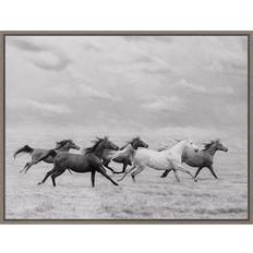 Amanti Art Horse Run I Framed Art 59.7x45.7cm