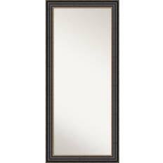 Amanti Art Thomas Floor Mirror 29.8x65.8"