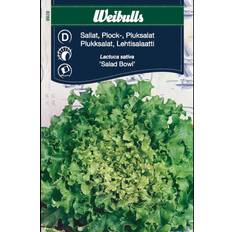 Weibulls Pluksalat, Salad Bowl Grøntsagsfrø