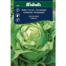 Weibulls Hovedsalat Hilde II Grøntsagsfrø