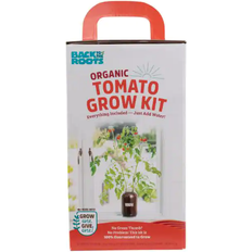 Seeds Back To The Roots Organic Cherry Tomato Windowsill Grow Planter