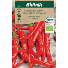Weibulls Chili Cayenne Grøntsagsfrø