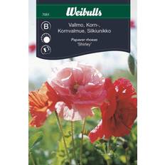 Weibulls Krukker, Planter & Dyrkning Weibulls Vallmo Korn Shirley Blomsterfrø