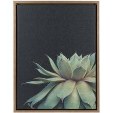 Kate and Laurel Succulent 8 Framed Art 45.7x61cm