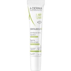 Cure della pelle A-Derma Dermalibour Cica Lip Balm