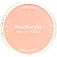 Crayons PanPastel Artists' Pastels red iron oxide tint 380.8 9 ml