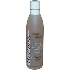 Ginger Scent 240ml
