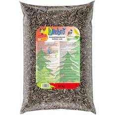 Lillebro Sunflower Seeds 10kg