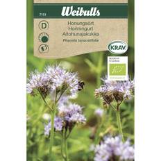 Honningurt Weibulls Honningurt Blomsterfrø