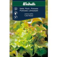 Krukker, Planter & Dyrkning Weibulls Pluksalat Lollo Rossa Grøntsagsfrø