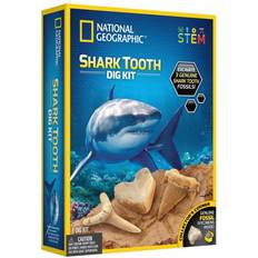 Science & Magic National Geographic Shark Tooth Dig Kit