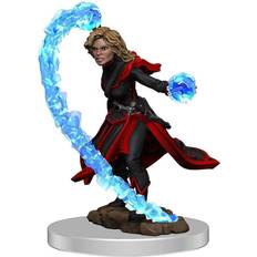 WizKids Pathfinder Battles Premium Miniature pre-painted Female Human Wizard Case (6)