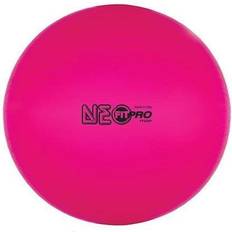 Gym Balls Champion Sports 42 cm Fitpro Training and Exercise Ball in