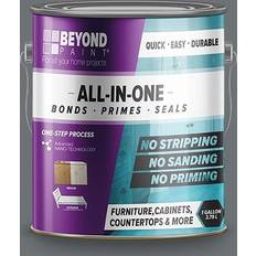 Acrylic Paints Beyond Paint Bp20 All-in-one Refinishing Paint, Pewter, 1 Gallon