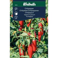 Weibulls Chili Foradjido Grøntsagsfrø