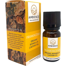 Frankincense olie, øko