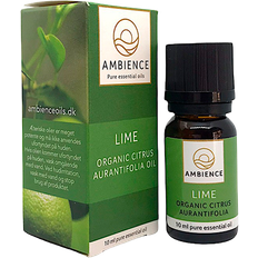 Ambience Lime oil, øko 10ml