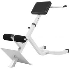 Fitness bænk Gorilla Sports Hyperextension Bænk