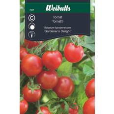 Weibulls Tomat, Gardener’s Delight Grøntsagsfrø