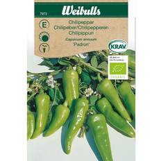 Weibulls Øko chili, Padron Grøntsagsfrø