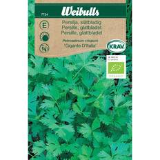 Weibulls Parsley Gigante D Ítalía Krydderurtefrø